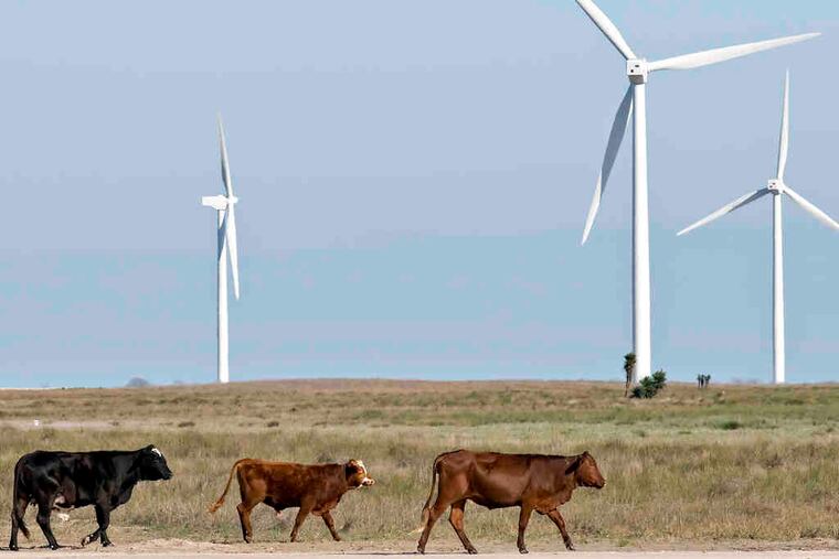 Cattle graze near wind turbines in Texas. Some on Wall Street have long been fans of farmland as part of an investment portfolio.