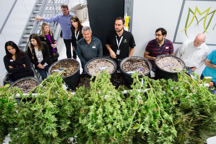 New Jersey lawmakers traveled to Denver a year ago to observe marijuana operations at the Medicine Man facility. Now they are weighing a legalization bill.