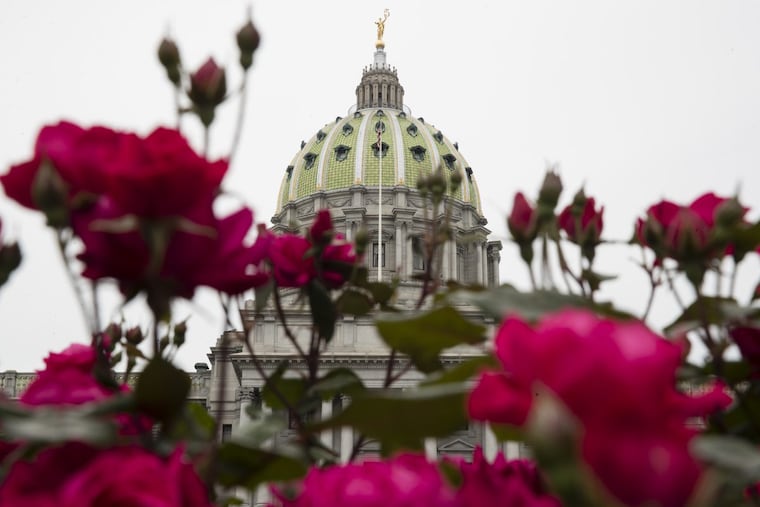 Shown is the Pennsylvania Capitol building along with roses in Harrisburg, Pa., Tuesday, May 23, 2017. (AP Photo/Matt Rourke)