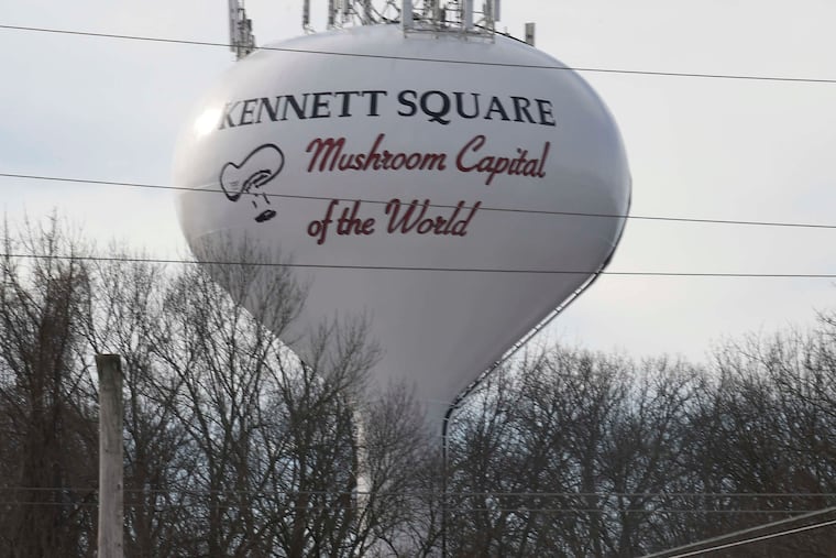 Kennett Square will rejoin the a regional fire commission it helped found in 2017.