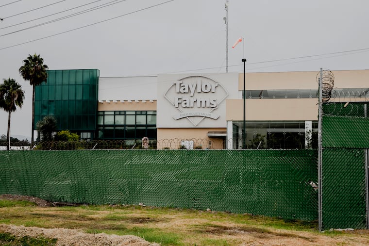 The Taylor Farms processing facility in the town of Doctor Mora, which is in Mexico’s primary lettuce-growing state of Guanajuato. Lettuce distributed by the California-based produce company has now been linked to cyclosporiasis cases in Pennsylvania.