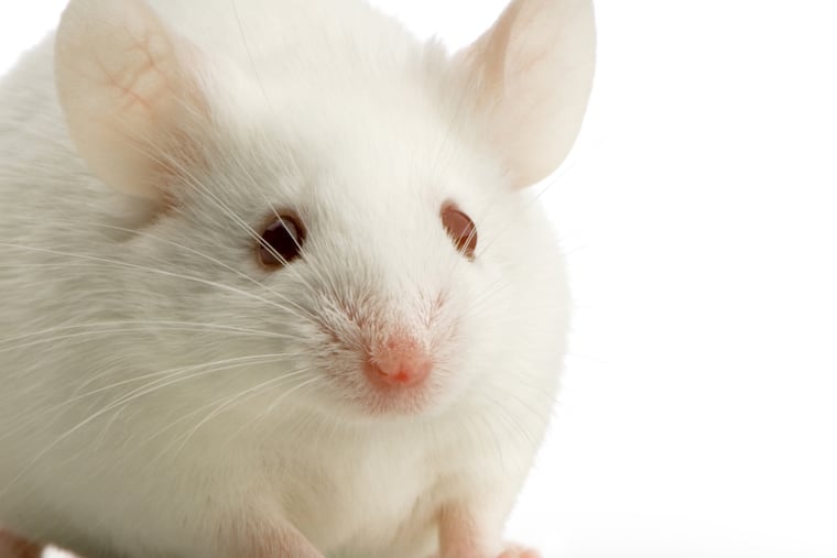 Mice who vaped nicotine had an increase in tumors.