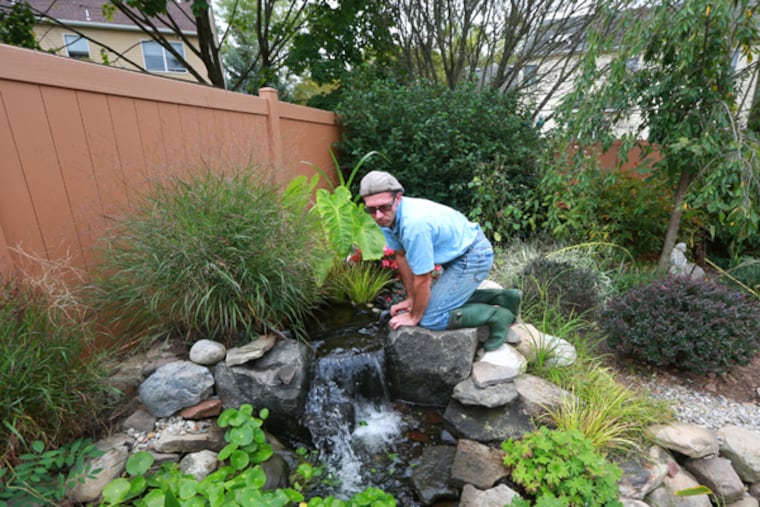Matt Reale maintains a pond installed by AquaReale on Meetinghouse Road in Jamison, Pa., Oct. 2, 2014. (DAVID SWANSON/Staff Photographer)