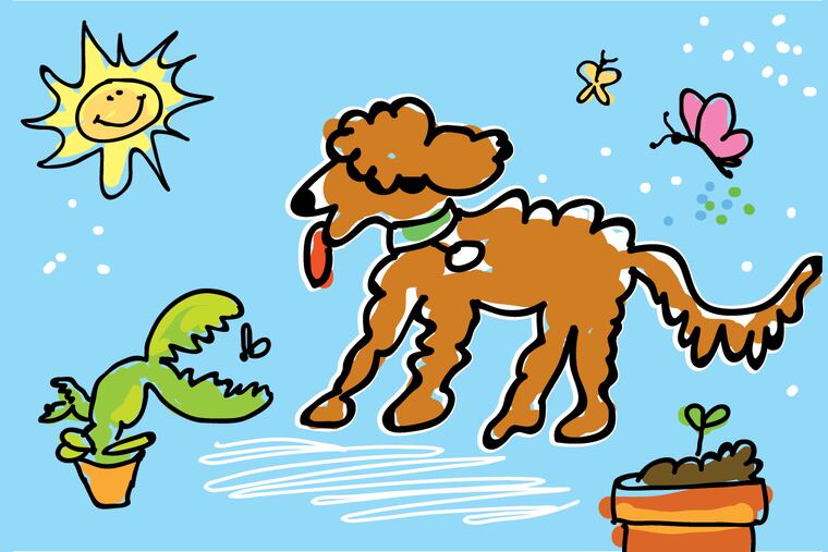 The 2019 Philadelphia Flower Show runs March 2-10 at the Pennsylvania Convention Center.