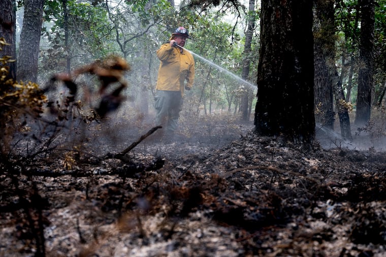 Firefighter Larry Rosenberg, a district fire warden trom Little Egg Harbor Township, works on some hot areas remaining last June from a fire at the Wharton State Forest fire. It was an especially active wildfire year in New Jersey. The controlled burn is designed to prevent a repeat.