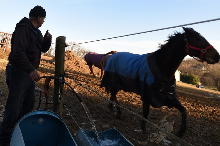 Ray Chavous and his wife, Gieniene, run Ray-Gien Farm, an 18-acre horse farm in Kutztown, Berks County. They are two of only 140 African American farm operators working on 122 farms in Pennsylvania, according to the USDA’s 2012 Census of Agriculture.