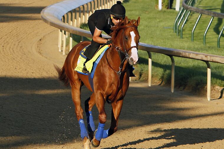 Exercise rider Humberto Gomez guides Kentucky Derby and Preakness Stakes winner Justify in a morning gallop at Churchill Downs in Louisville, Ky., Friday, May 25, 2018. (AP Photo/Garry Jones)
