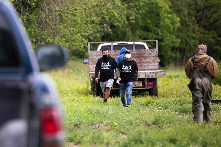Volunteers Edgar Aquino-Huerta and Jonathan Matías walk back to their cars after giving out donations to farm workers in Vineland in May.