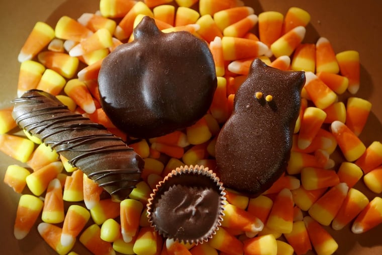 From left, a homemade Twix-like candy bar, a coconut chocolate bar, a peppermint patty owl, and a peanut butter cup on the bottom.