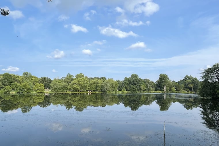 Alcyon Lake in Pitman