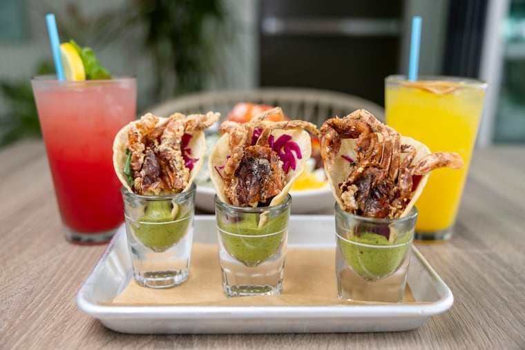 Soft-shell crab tacos shooters at Tideline in Margate City, N.J., on Wednesday, June 10, 2026.
