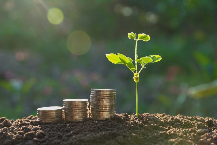 There is growing interest in ESG, investment screens for environmental, social and corporate governance-friendliness. But labels often hide what's really in the portfolio.