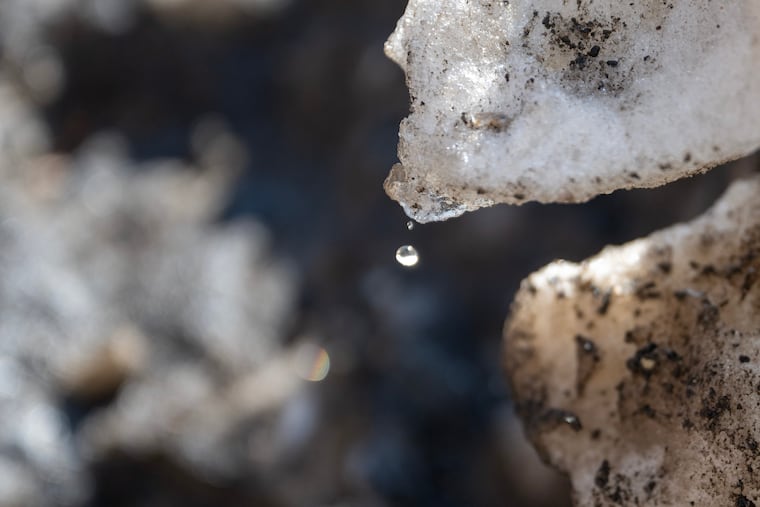 Logan Square. Saturday, Feb. 14, 2026.