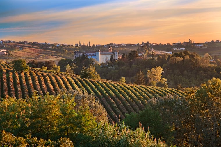 Costigliole d'Asti (Piedmont, Italy) is home to the white truffle and the barbera grape.