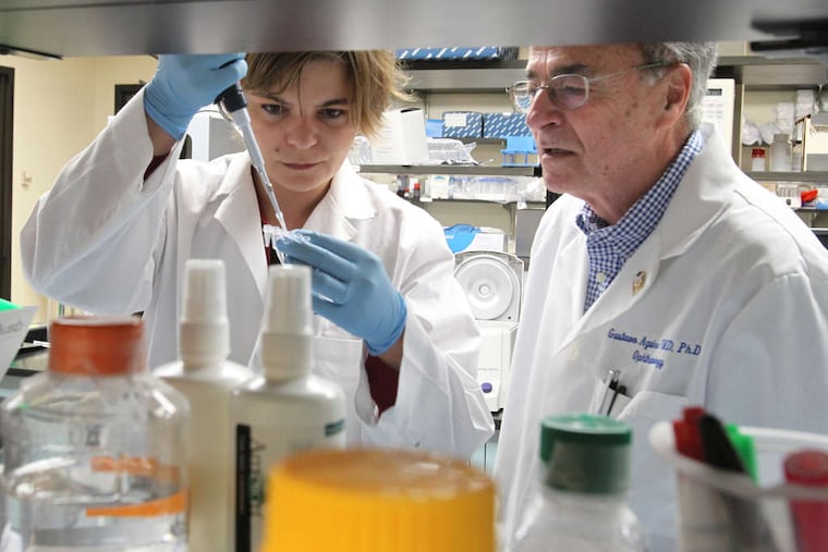Gustavo D. Aguirre and colleague Karina Guziewicz at work in a lab at the Ryan Veterinary Hospital of the University of Pennsylvania.