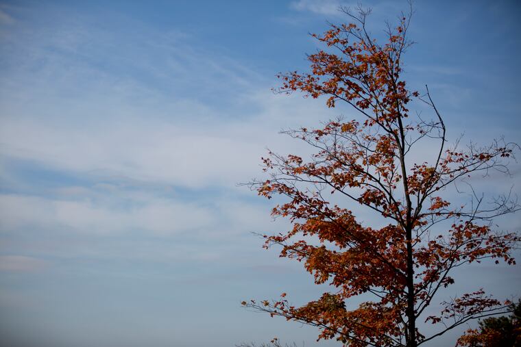 Leaves change colors and fall near the Milton Hershey School in Hershey Pennsylvania, Wednesday, October 26, 2016.