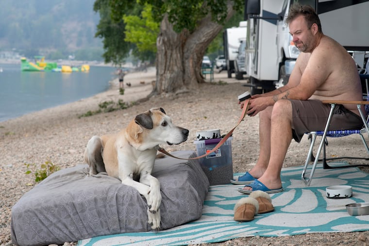 Matt Prouxl sits with his dog, Baily, by his RV trailer in Peachland, British Columbia, Canada, on Saturday, Aug. 8, 2026, after evacuating from a wildfire. A new study shows dogs may be able to discern human emotions by looking at our faces.