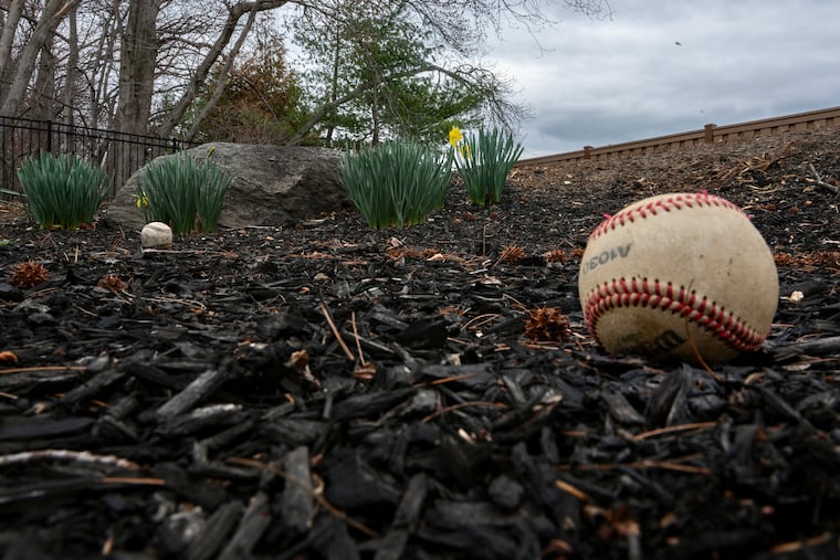Baseballs are in the backyard of the Cherry Hill home of Guy and Mirit Holzman. They say foul balls from the adjacent Cherry Hill High School East baseball field land there, and they are threatening legal action against the school.