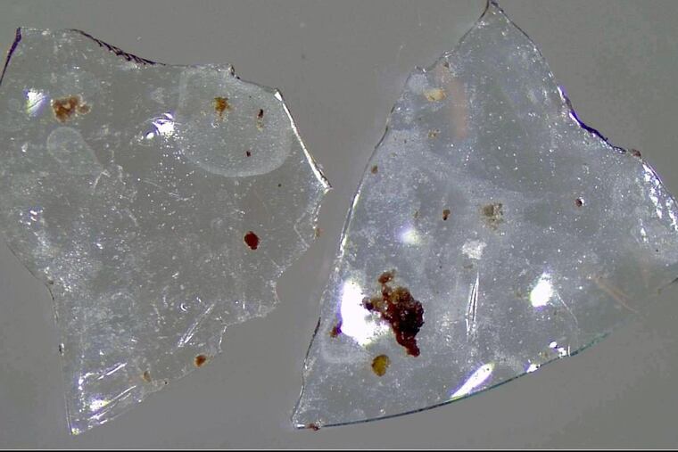 Contact lenses recovered from treated sewage sludge could harm the environment.