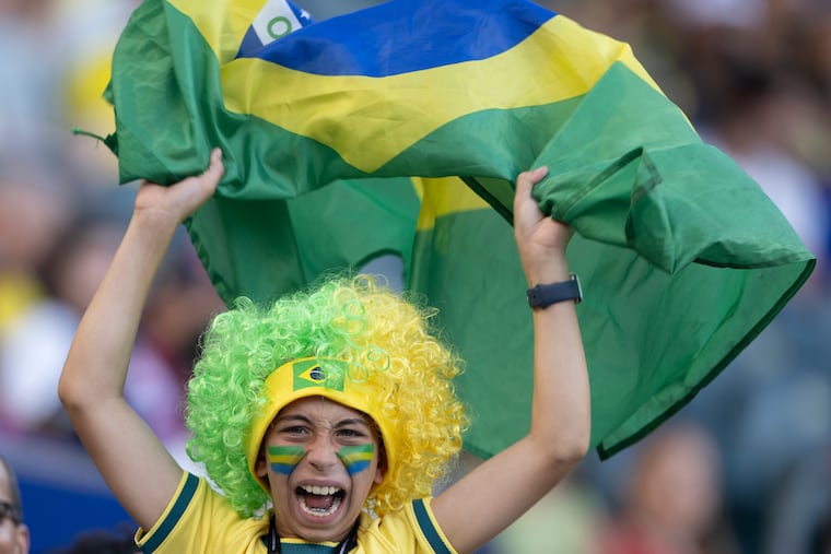A Brazil fan waves his national flag before Friday's FIFA World Cup Group C soccer match between Brazil and Haiti.