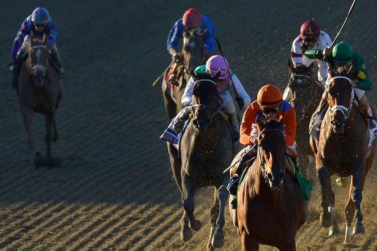 Beholder (front), ridden by Gary Stevens , is on the way to victory in the Breeders' Cup Distaff. Local horse Princess of Sylmar (left) finished last in the six-horse field. AP