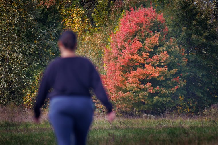 Fall colors on tree along a recreational trail at Crystal Lake Park, Burlington County, N.J. on Monday, Oct. 14, 2024.