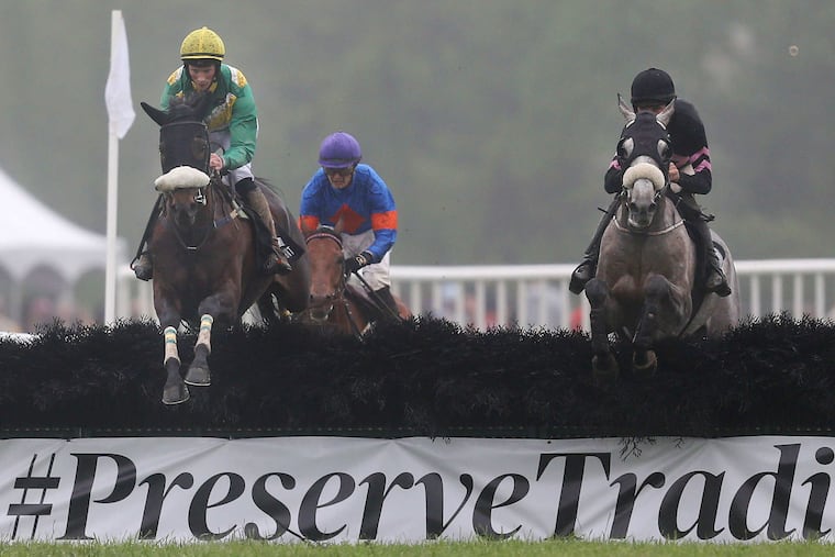 The annual Radnor Hunt Races in Malvern often draw up to 25,000 spectators.
