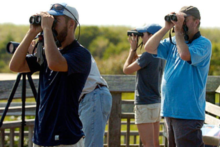 At Cape May Point State Park, birders followed hawks in the distance Wednesday, the first day of the annual hawk watch. The N.J. spot was No. 1 among readers of Birder's World magazine. The No. 2 pick? Hawk Mountain in Pa. (Ron Tarver/Staff)