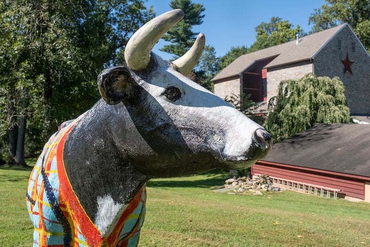 A colorful cow sculpture greets visitors as they approach the 2.8-acre property in West Chester, where a former barn is now a four-bedroom house.