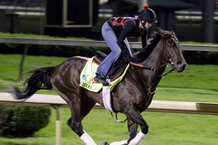 Exercise rider Jenn Patterson takes Orb for a workout at Churchill Downs. Trained by Shug McGaughey, Orb enters the 139th Derby as the narrow 7-2 early favorite.