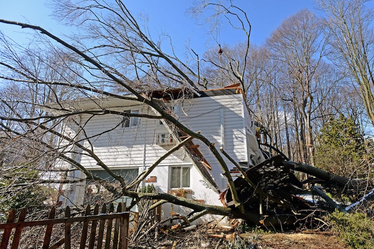 The safety of the home where a woman was killed, and her husband was seriously injured and trapped for hours when a tree fell into their bedroom, must be determined.