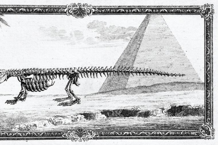 Go ahead: color in this crocodile skeleton from the Historical Medical Library of the College of Physicians of Philadelphia.