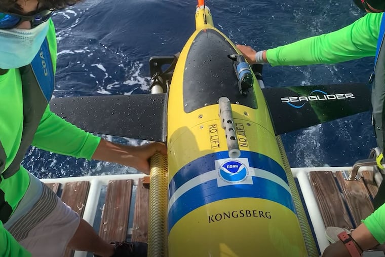 Scientists launch one of 30 ocean gliders to track ocean temperature and salinity.