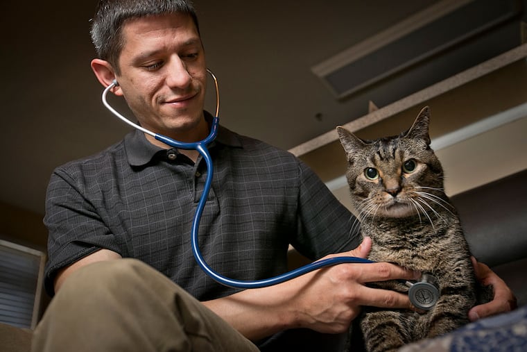 Brad Bates of Lap of Love, at home with Zander, one of his three cats. Zander, 16, struggles with arthritis and chronic intestinal issues.