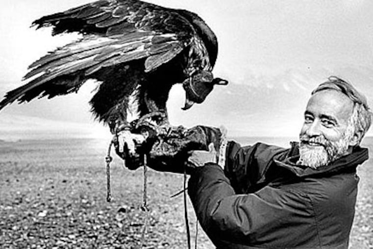 Bob Peck, a longtime naturalist/curator/chronicler for the Academy of Natural Sciences,0 with a GoldenEagle in western Mongolia in 1997. (Photo: Academy of Natural Sciences)