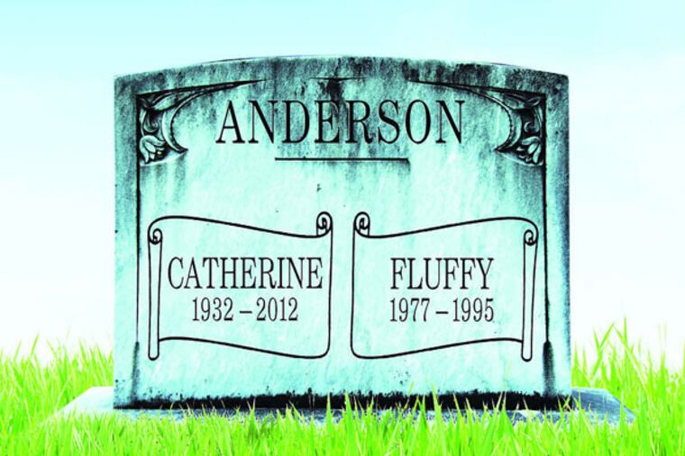 Illustration: SUE SYRNICK / Staff Artist, Photographs: istockphoto.com