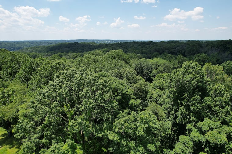 A drone view of land near the Schuylkill Center for Environmental Education that will be preserved near Port Royal Avenue and Eva Street in the Upper Roxborough section of Philadelphia.
