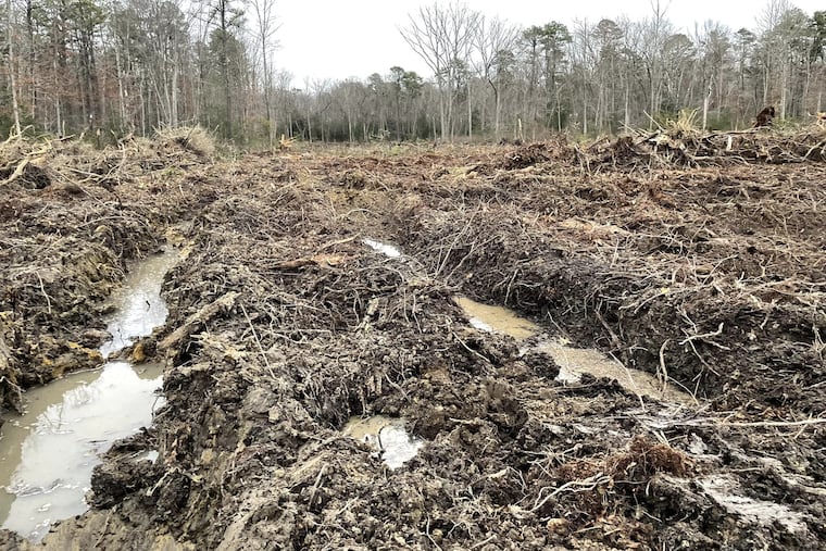 The New Jersey Department of Environmental Protection's Bureau of Coastal and Land Use Enforcement has issued a notice of violation to the DEP's Fish and Wildlife's Bureau of Land Management for unauthorized regulated activity at the Glassboro Wildlife Management Area in Gloucester County. The project was suspended on March 10.