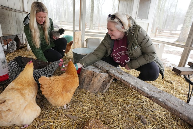 Julie Gunderson, left, and her pet sitter Nora Murphy Kramp, right, at Gunderson's house with her farm animals, in Chester County, Pa., Feb. 20, 2026.