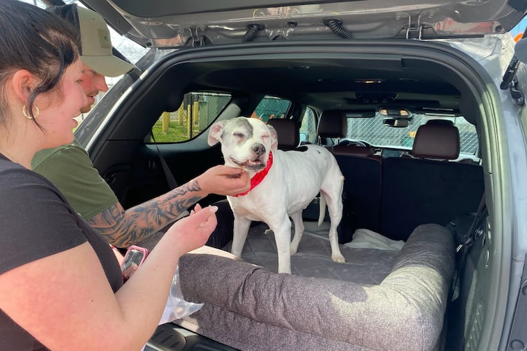 Jourdyn Koviack was reunited with her dog, Forty, this week in Philadelphia. The dog had been missing since 2015.