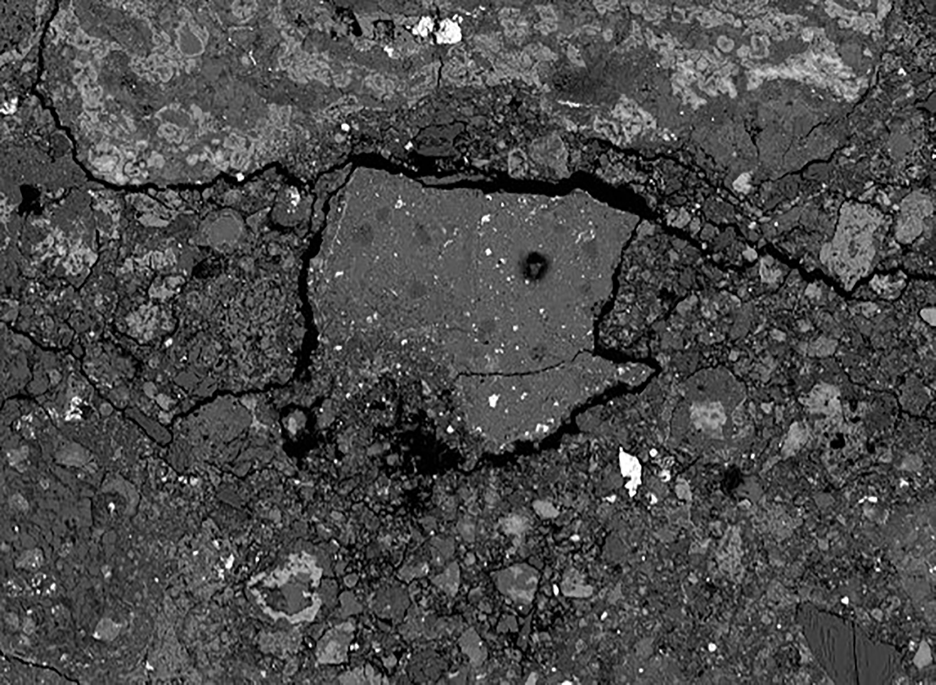 A meteorite that crashed into a New Jersey home contained ‘alien world chemistry,’ new study says