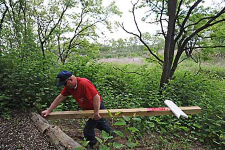 In Delanco, NJ., the West Avenue Nature Trails. APRIL SAUL / Staff Photographer