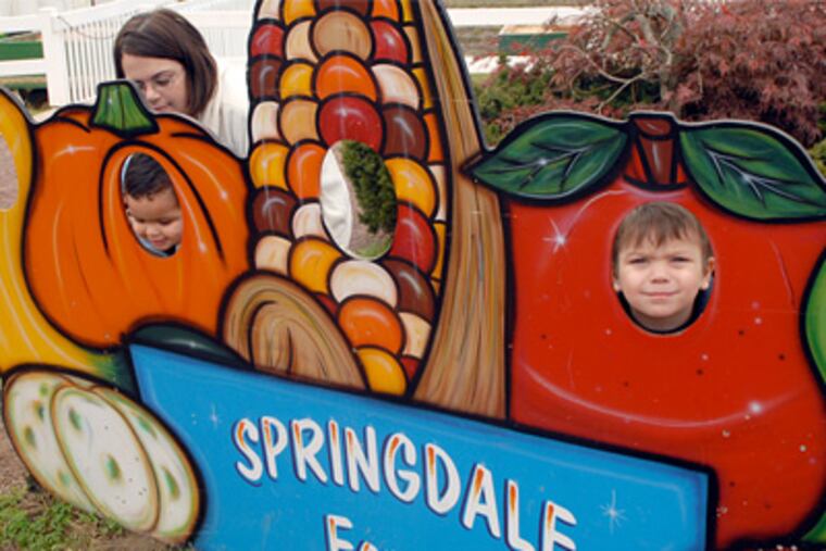 Jessica Taylor of Lindenwold lifts son Alexander Taylor into a cutout hole for a photo with his brother Billy Taylor during a visit to Springdale Farms with her sister and mother. ( Tom Gralish / Staff Photographer )