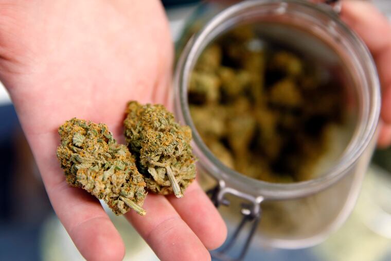 FILE - In this Nov. 27, 2015, file photo, a bud tender holds two marijuana buds on his fingers on the way to a customer at the Denver Kush Club in north Denver. The Democratic-controlled House has voted to block the Justice Department from interfering with states that have legalized marijuana for recreational use. The bipartisan 267-165 vote on June 20, 2019, represents a breakthrough for advocates of legalizing pot, who have unsuccessfully pressed the idea in the past under GOP control of the House. (AP Photo/David Zalubowski, File)