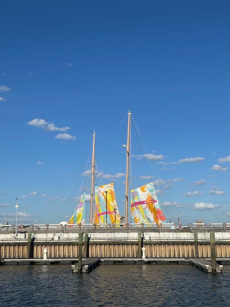 Artist indira allegra's "Sail Through This to That" at Spruce Street Harbor Park.