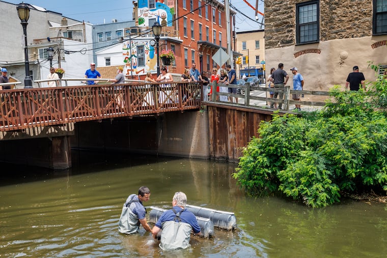 Water Department scientists Will Whalon and Lance Butler, (right) remove trays of mussels from a floating cage in the Manayunk Canal beneath the Cotton Street bridge, Philadelphia, Thursday, June 26, 2025.