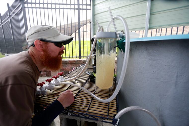 Joe Perillo, an aquatic biologist for the Philadelphia Water Department who runs the Fairmount Fish Ladder on the Schuylkill.