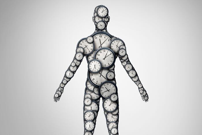 Consistent Body Clock 5 questions: Is your body clock important?