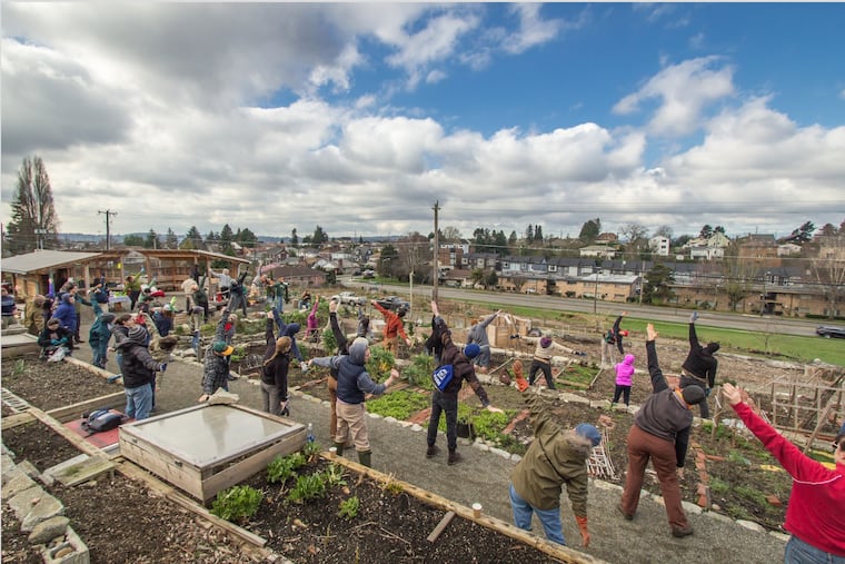 Volunteers at work at the Beacon Food Forest in Seattle.