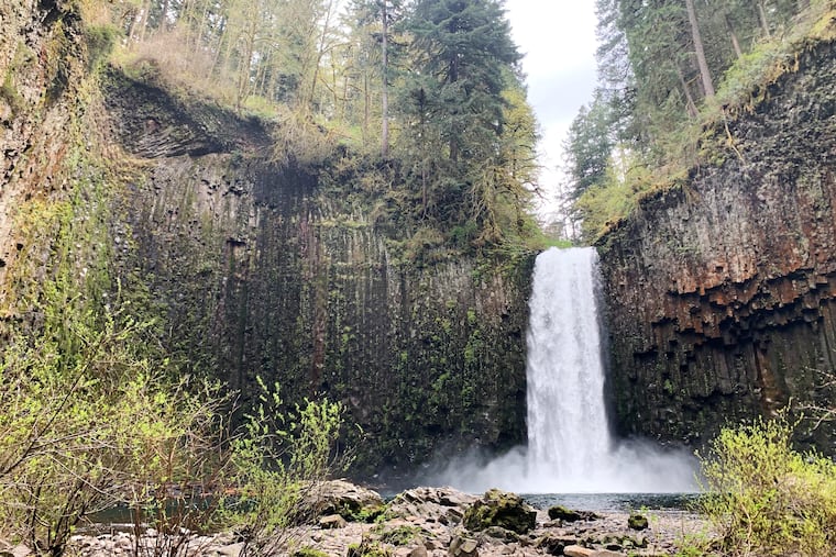 This undated photo released by the Willamette River Preservation Trust shows the Abiqua Falls in northwestern Oregon.